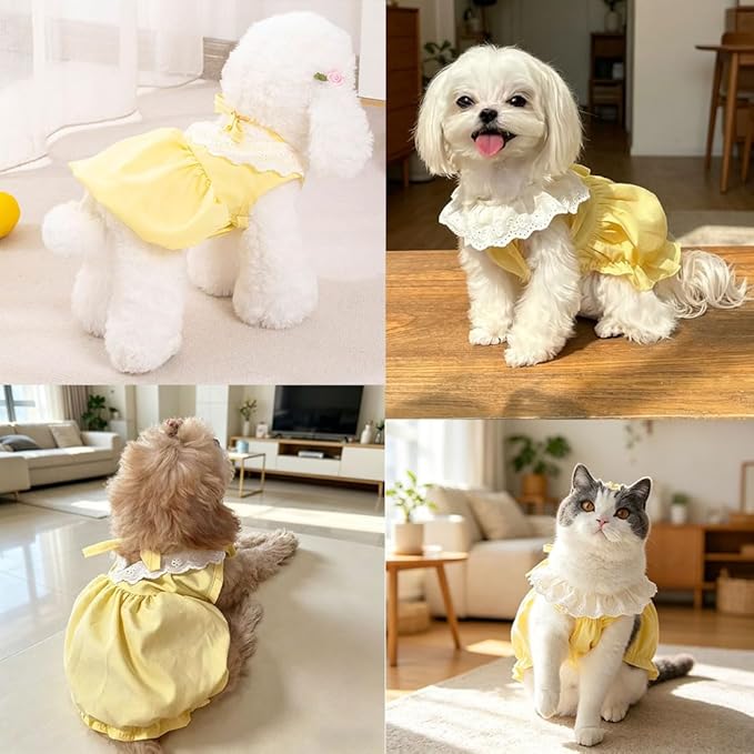 Pet Pumpkin Princess Dress for Small Dogs Cats, Breathable Polyester Lace Skirt, Adjustable Strap Sleeveless Puppy Kitten Outfit for Ragdoll Yorkie Maltese, Spring Summer Sweet Costume (Yellow, Large)
