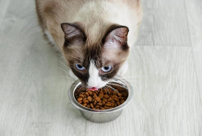 Van Ness Pets Lightweight Stainless Steel Cat Bowl, 8 OZ Food and Water Dish, Natural (Pack of 12)
