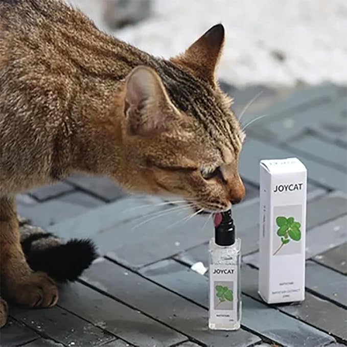 Catnip Spray for Indoor Cats, Cat Anti Scratch Calming Spray, Cat Nip Spray