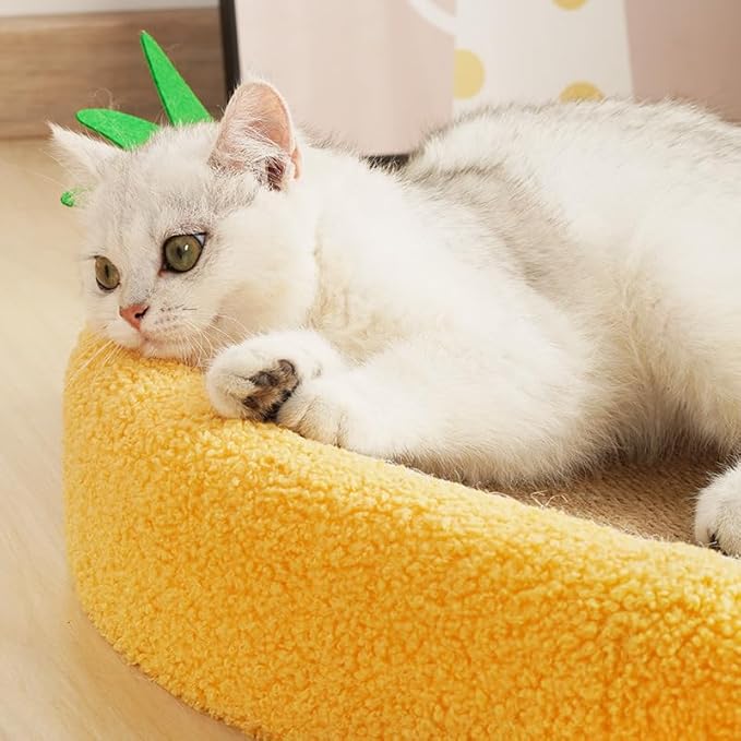 Cat Bed Furniture with Integrated Claw Grinding Plate Sisal Material Neat and Tidy Environment Large Diameter Cat Bed