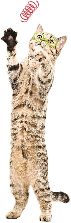 Tamu style Cat Spring Toys (60 Pack), Playful Coils for Kittens, BPA Free Plastic for Swatting, Biting, Hunting, and Active Healthy Play, Colorful 2 Inch Spirals