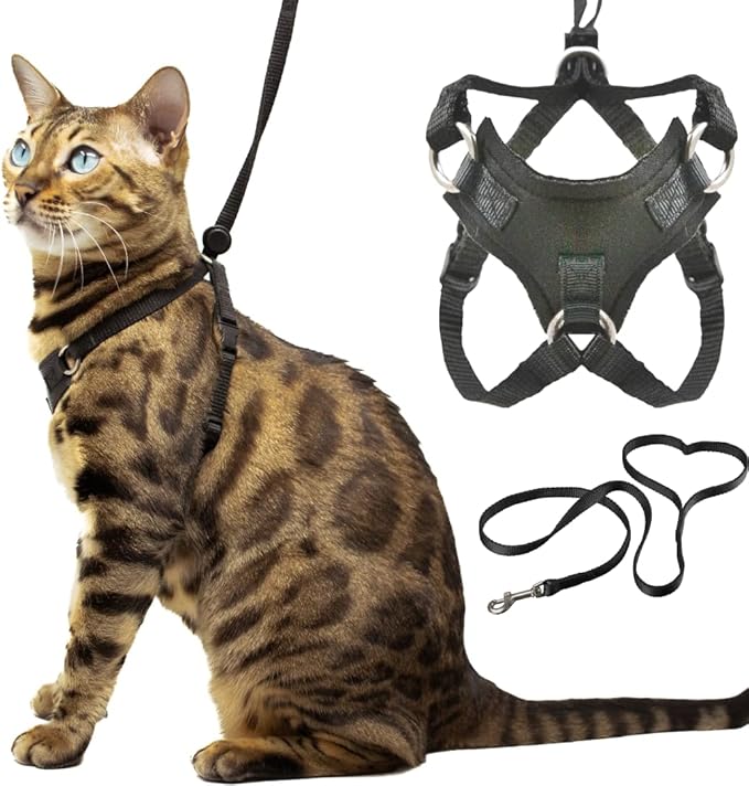 Cat Harness and Long Leash (14FT) - Escape Proof, Choke Free, Lightweight OutdoorBengal - Vest + Black Lead for Walking Cats (M)