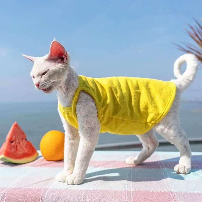 Hairless Cats Solid Cotton Camisole, Breathable Summer Tank Tops for Sphynx, Cornish Rex, Devon Rex, Peterbald, Cat Wear Hairless Cat Clothes Soft Skin-Friendly Cats Apparel Assorted Colors and Sizes