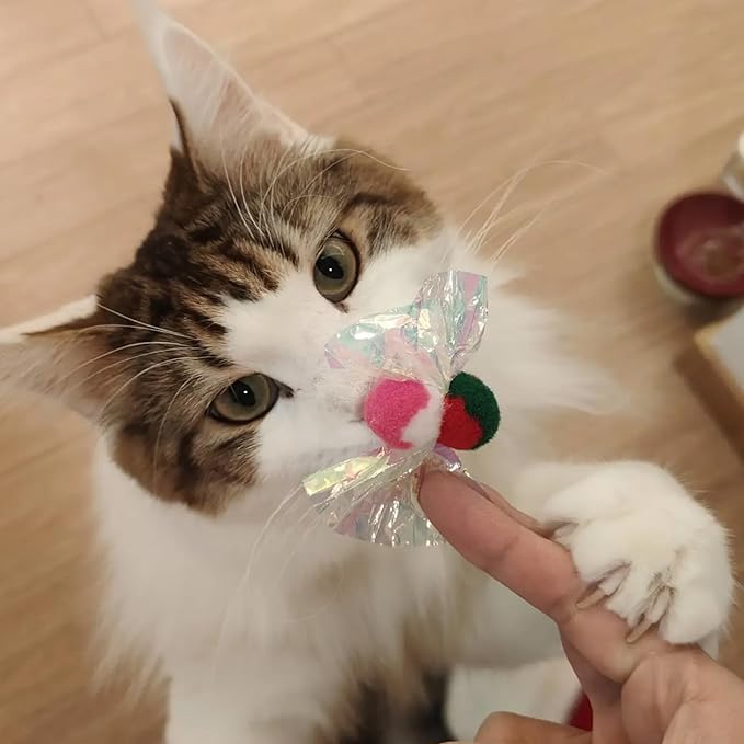 IUHKBH Cat Crinkle Toy, 10 PCS Shiny Bow Interactive Cat Toys Self Play Mylar Crinkler Kitten Toy for Indoor Self Entertainment