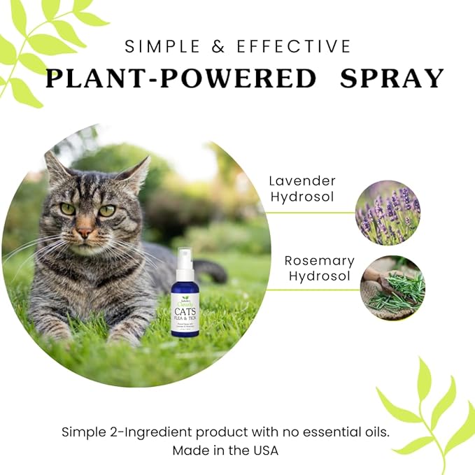 Isabella's Clearly Cats | Ticks and Fleas Product with Rosemary and Lavender | Topical Spray for Cats. Smells Great. Made in USA.