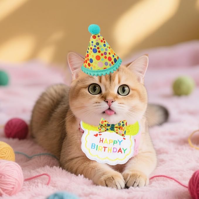 Cat Birthday Party Supplies, Girl Boy Cat Kitten Birthday Bandana Hat Numbers Decorations Outfits Set, Yellow