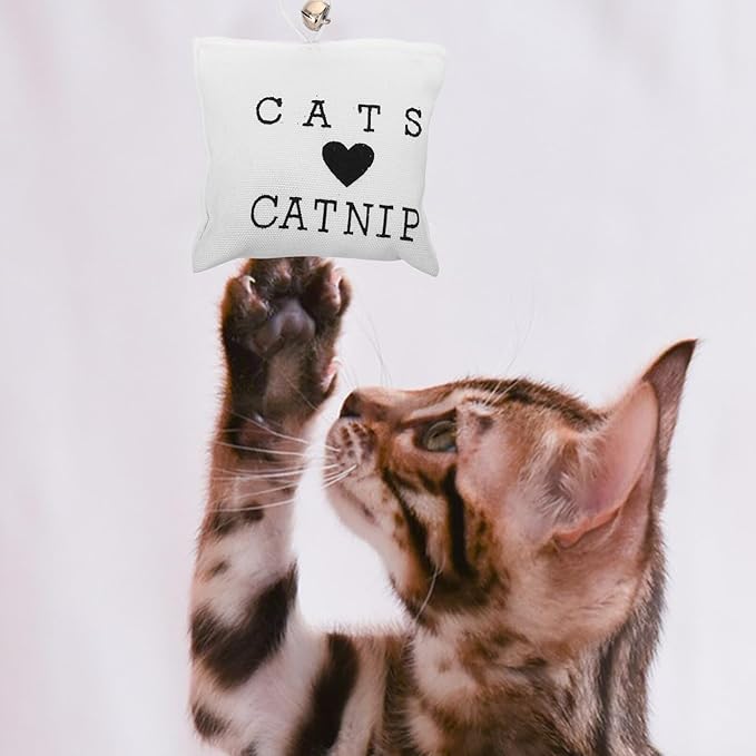 3pcs Catnip Canvas Cat Chew Bags Teeth Cleaning Kitten Assortment Interactive Indoor Play for Cats Random Color