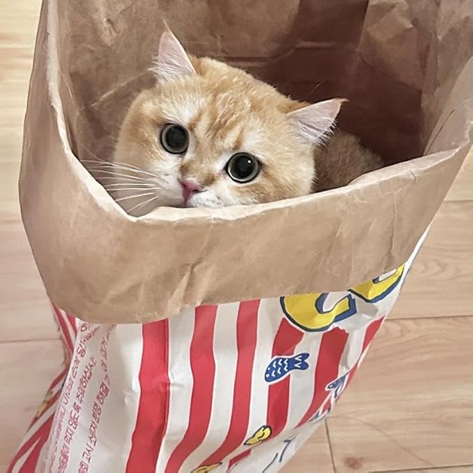 Cat Crinkle Bag Toy Giant Paper Bag Tunnel for Indoor Cats, Collapsible 29.53 * 13.78inch Interactive Hideaway with Crinkle Sound for Kittens, Rabbits, Ferrets