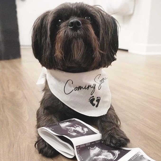 Coming Soon Dog Bandana | 100% Cotton Adjustable Triangle | Made in USA | Pregnancy Announcement | Photoshoot Prop | New Baby | Gender Reveal |White, One Size (769)