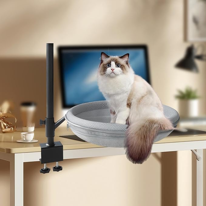 Cat Desk Bed Height Adjustable 360° Rotation Cat Perch for Desk Clamp Mount Elevated Kitten Furniture for Side Table Study Room- Mesh Cloth and Plush