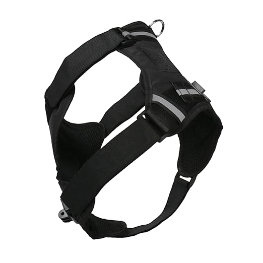 Adjustable Dog Harness Camera Dogs 8-35kg | Capture Perspectives While Playing