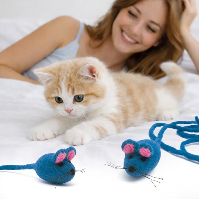 Glaciart One Felt Mouse Cat Toy – Soft Fuzzy Enrichment 100% Natural Wool - Interactive Catnip Play Cat Toy Set - Safe for Pets, Non-AZO Colored Dyes - 42” Long