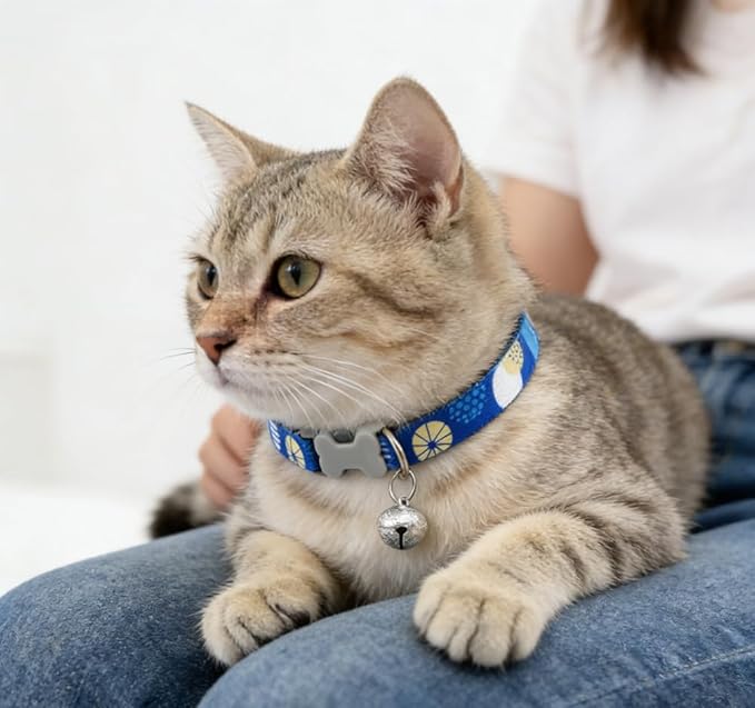 Cat Collar Set with Bell, Breakaway Nylon Kitten Collars, Safe Pet Accessories in Mixed Colors Adjustable 8-13 inches(4 pcs)