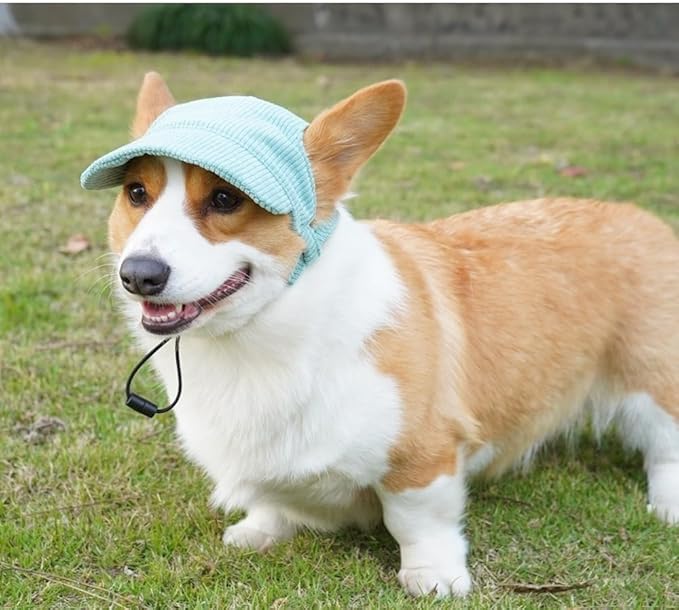 Selena Baseball Cap for Dog Cat with Ear Holes Adjustable Hat Cute Puppy Kitten Pet Outdoor Sun Protection Sport Costume Apparel (Large,Green)
