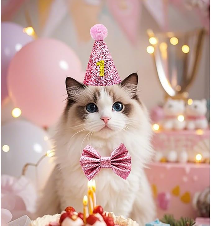 Cat Birthday Hat Girl Happy Birthday Decorations Outfit Banner Party Supplies Bow tie Collar Catnip Chew Biting Kick Toys for Cat Girl (Pink)