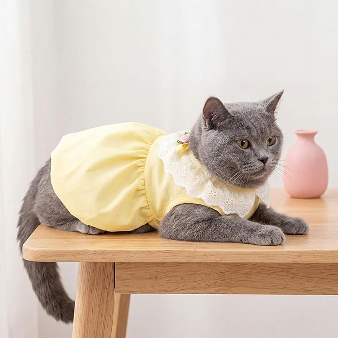 Pet Pumpkin Princess Dress for Small Dogs Cats, Breathable Polyester Lace Skirt, Adjustable Strap Sleeveless Puppy Kitten Outfit for Ragdoll Yorkie Maltese, Spring Summer Sweet Costume(Yellow, Small)