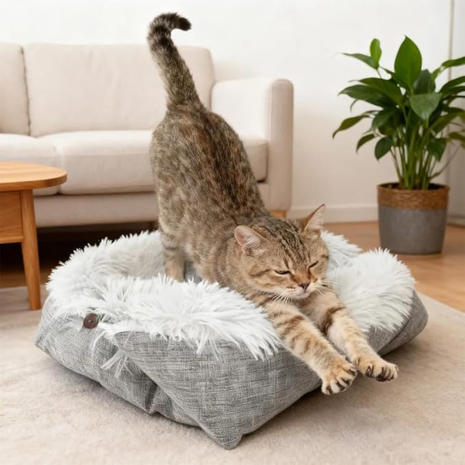 FAMILY'S BACKYARD Cat Bed for Indoor Cats,Foldable, Dual-Style Warm Pet Bed, Suitable for Individual Cats and Small Dogs.Dog beds for Small Dogs，Size:23.62 * 19.69 * 1.18inch.