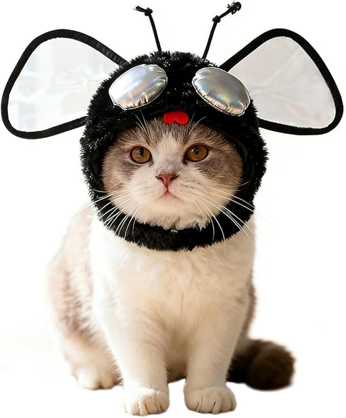 Funny Fly Cat Hats, Soft Cute Kitten Puppy Headwear Costume Accessories, Halloween Christmas Holiday Birthday Party Clothes Decoration Cap for Cats, Black, 1 Piece