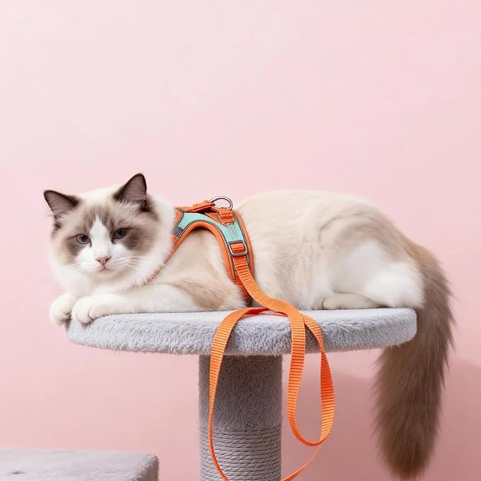 Escape-Proof Cat Harness and Leash Set, Soft Breathable Mesh Vest Style Cat Harness, Adjustable Step-in Cat Harness for Walking, Easy Wear Outdoor Harness for Small Medium Cats (M-4-9lb)