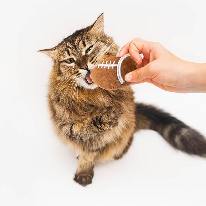 6pcs Catnip Toy, Indoor Football Shaped Cat Toy Plush Interactive Chew Bite Toys for Cat Kitten Indoor Festive Holiday Cat Lover Gift