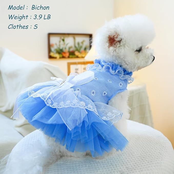 ANIAC Daisy Small Dog Dresses Female with Leash Ring,Bow Knot Girl Puppy Wedding Dress,Valentine's Cat Outfit,Fancy Pet Party Dress for Kitten Chihuahua Yorkie Pomeranian (Blue, Large)