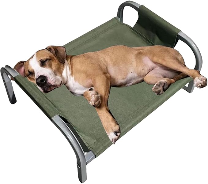 Elevated Cat Bed, Cat Furniture, Wear-Resistant, Comfortable, Breathable, Detachable, Heavy-Duty, for Indoor Pets, Green