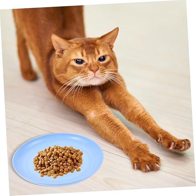4pcs Shallow Cat Food Bowls Set 20cm Wide Flat Pet Feeding Plates for Kittens and Short-Leg Cats Sturdy Plastic Multi-Color and Watering