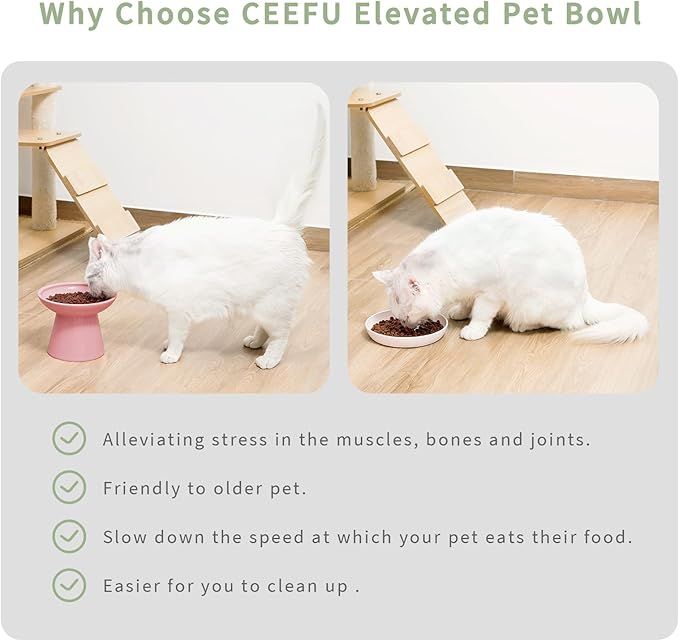 CEEFU Extra Wide Elevated Ceramic Cat Bowl, 6.2" Shallow Dish for Whisker Fatigue Relief, 5" Height for Easy Feeding, Durable Raised Cat Food Bowls, Pack of 2, Pink