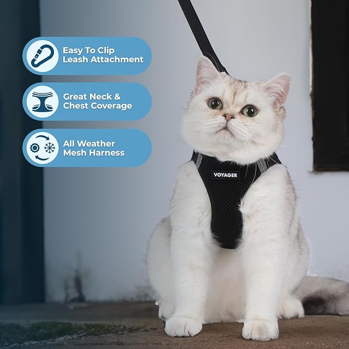 Voyager Step-in Pet Harness - All Weather Mesh, Adjustable Step in Harness for Cats and Dogs by Best Pet Supplies - 307S Black, XXXS