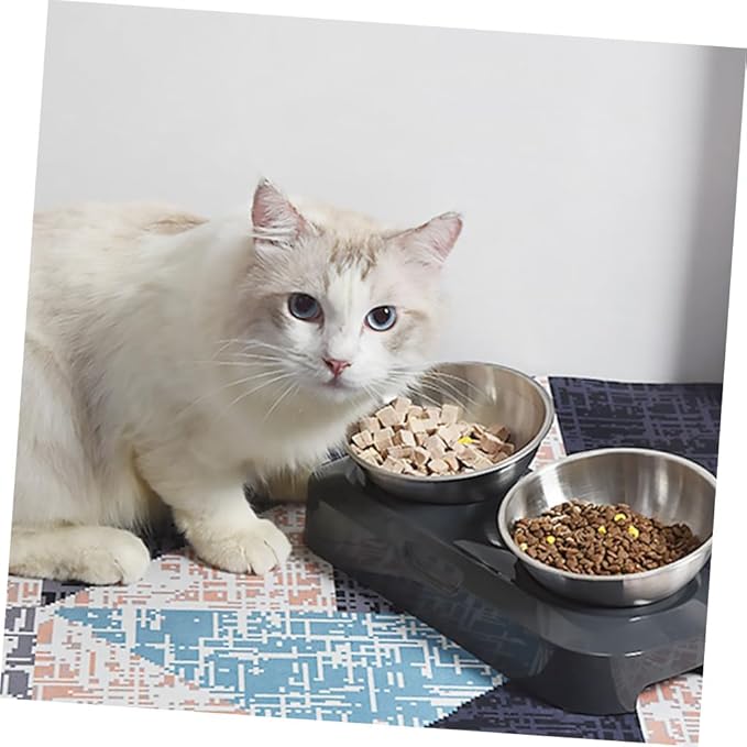 Adjustable Stainless Steel Slant Double Pet Bowl Set, Raised Cat Feeding and Watering Bowls for Kittens and Cats