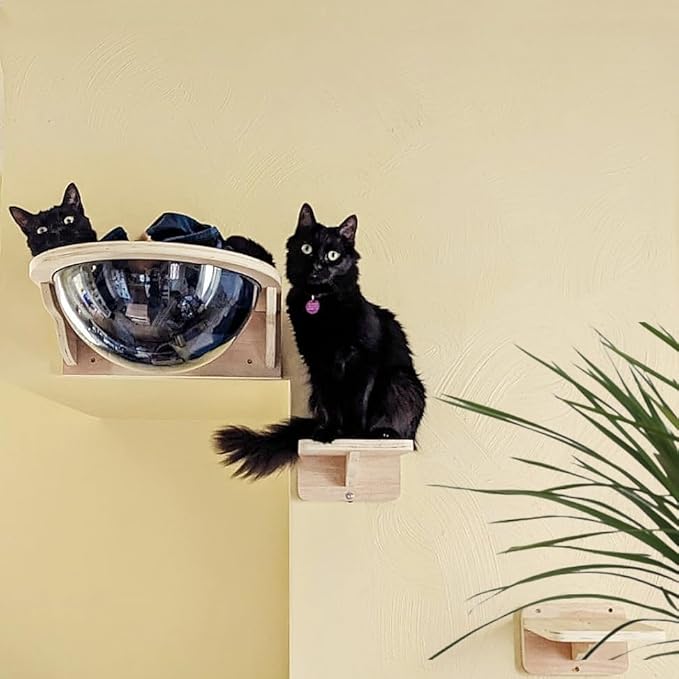 Black Large Cat Wall Shelves,Large Bed/Bubble for Cats Set Climbing Furniture, Wall Clear Cat Hammock Transparent Capsule Bed Set-1XL