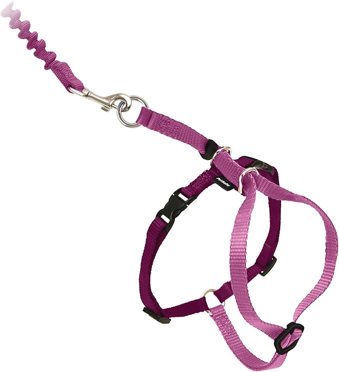 PetSafe Come with Me Kitty Harness and Bungee Leash Adjustable, Lightweight Harness for Cats Large, Dusty Rose