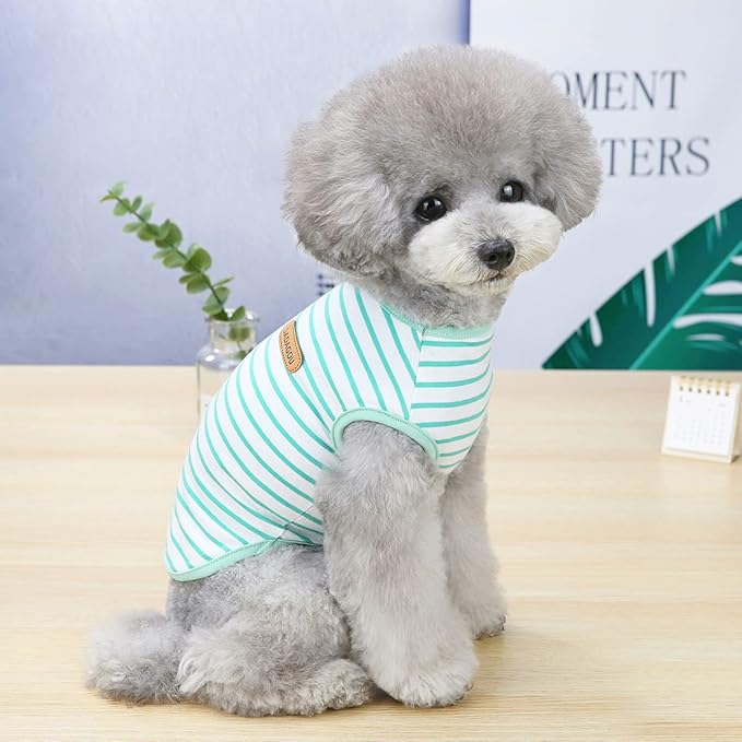 Dog Shirts for Small Dogs 2 Pack, S Dog Sleeveless Striped Vests Dog Pullover T-Shirts Lightweight Puppy Kitten Tank Top Cat Tee for Chihuahua, Bluegreen-S