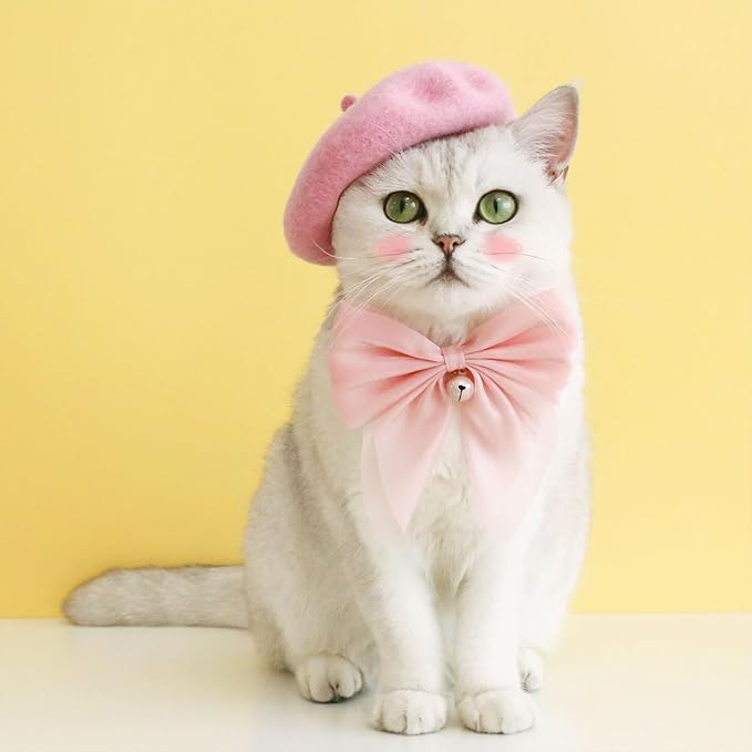 Pet Cat Dog Beret Hat Funny Artist Wool Beret Hat Pet Headwear Fashion Accessories for Winter Birthday Party (Pink)