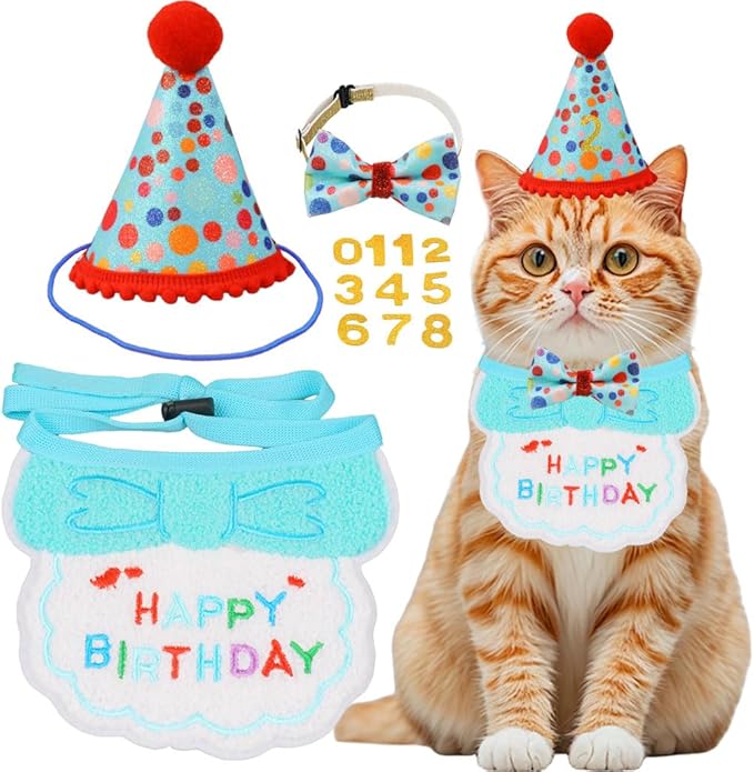 Cat Birthday Party Supplies, Girl Boy Cat Kitten Birthday Bandana Hat Numbers Decorations Outfits Set, Lightblue