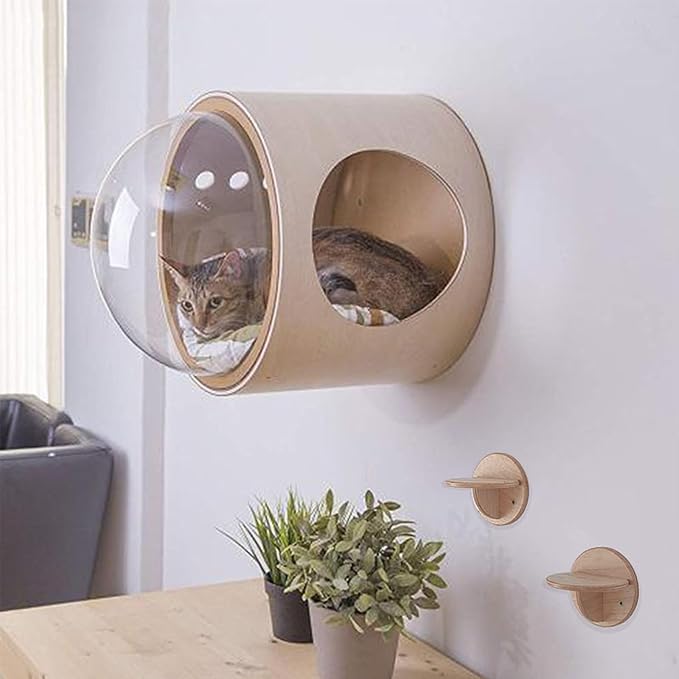 Round Cat Wall Furniture Wall Shelves for Cats Wood Transparent Capsule Breathable for Indoor Large Small Kitten