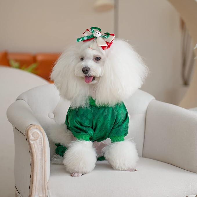 CuteBone Dog St.Patrick's Day Pajamas Puppy Onesies Small Dogs Soft Pjs Coat Cat Apparel Comfy Pet Clothes Outfit Doggie Bodysuit P274L