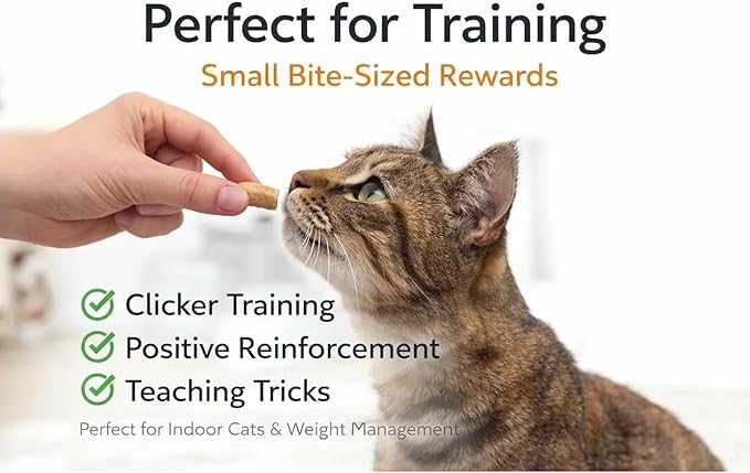 Salmon Cat Treats Bundle - Crunchy Soft Filled Bites + Lickable Puree Squeeze Tube - Healthy Training Treats Indoor Cats Kittens Senior - Low Calorie Food Topper No Artificial Flavors Wheat Soy Free