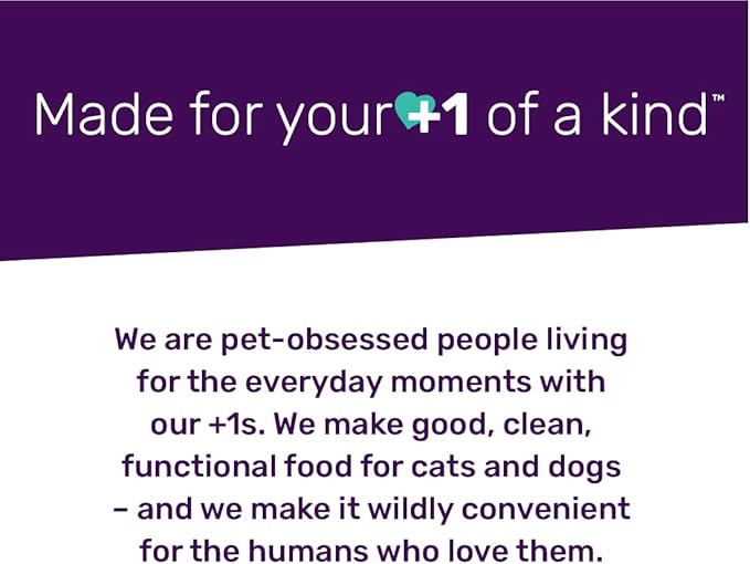 I AND LOVE AND YOU Wet Cat Food - Beef, Right Meow! Pâté Grain Free, Filler Free, 3oz Pack of 4 Cans