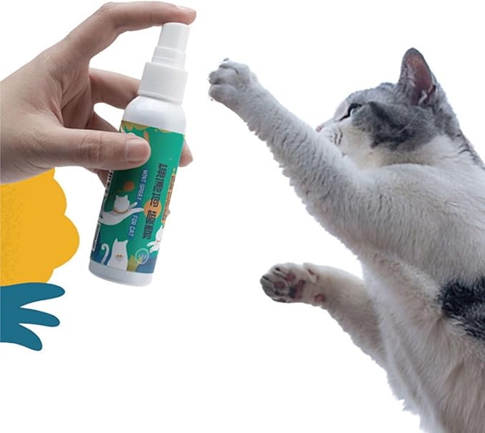 Catnip Spray 1.7 Oz Safe Treat for Indoor Cats Maximum Potency for Kitten Temptations Plastic Bottle Packaging