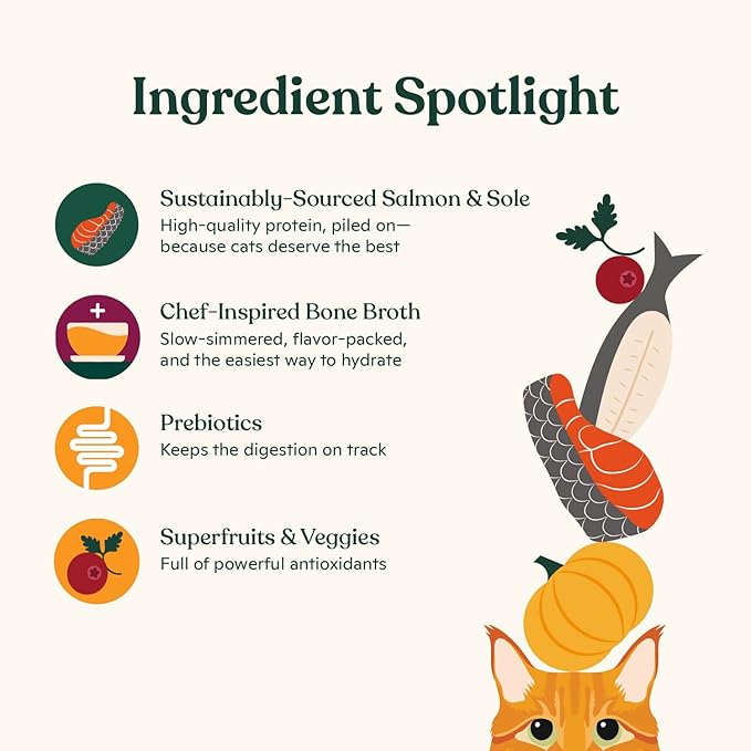 Made by Nacho Premium Wet Cat Food Grain-Free Pate Cans (Salmon & Sole - 6 Pack, 5.5 Ounce)