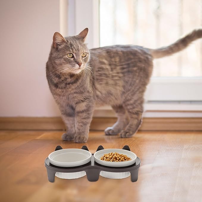 Ceramic Raised Cat Bowl Set with Anti-Slip Brown Thickened Dual Bowls and Sturdy Stand for Kitten Feeding and Watering at Home