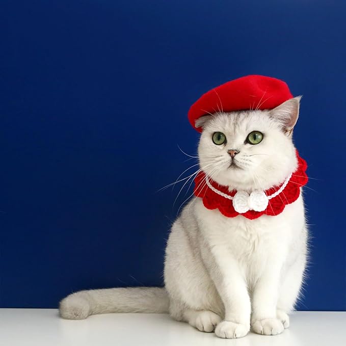 Pet Cat Dog Beret Hat Funny Artist Wool Beret Hat Pet Headwear Fashion Accessories for Winter Birthday Party (Red)