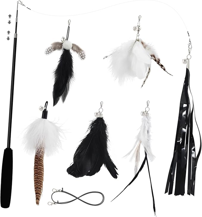 SONGWAY Cat Wand Toys for Indoor Cats - Cat Toy Set with Retractable Teaser Wand and 6 PCS Feather Toy Refills, Dragonfly Tassel Cat Toys Interactive, Black