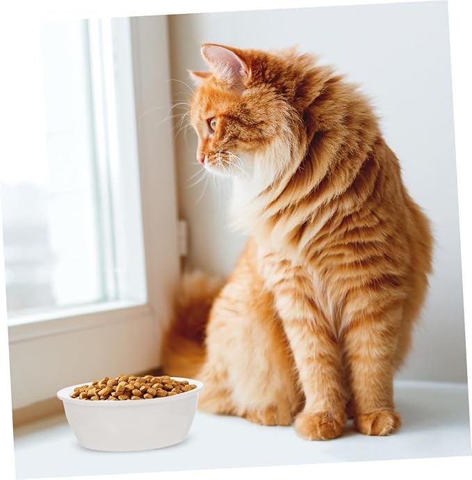 Gadpiparty 2Pcs Ceramic Pet Bowls Set for Dogs and Cats, Puppy Feeder and Cat Drinking Bowl, Bone and Fishbone Design, Suitable for Small Pets Feeding and Watering