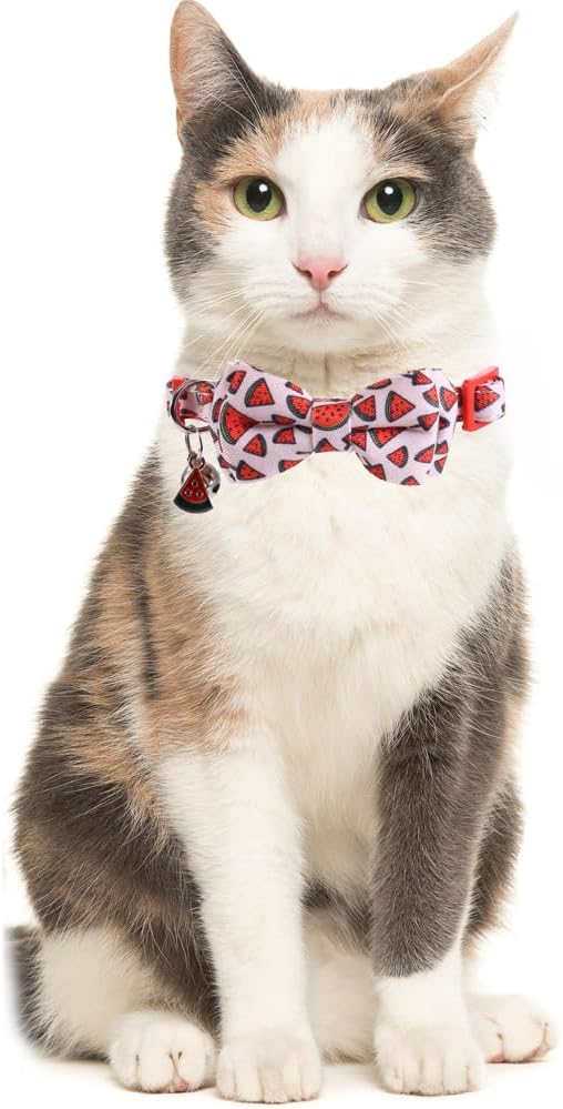 Cat Collar Breakaway with Cute Bow Tie and Bell Fruits Accessories for Kitty Adjustable Safety