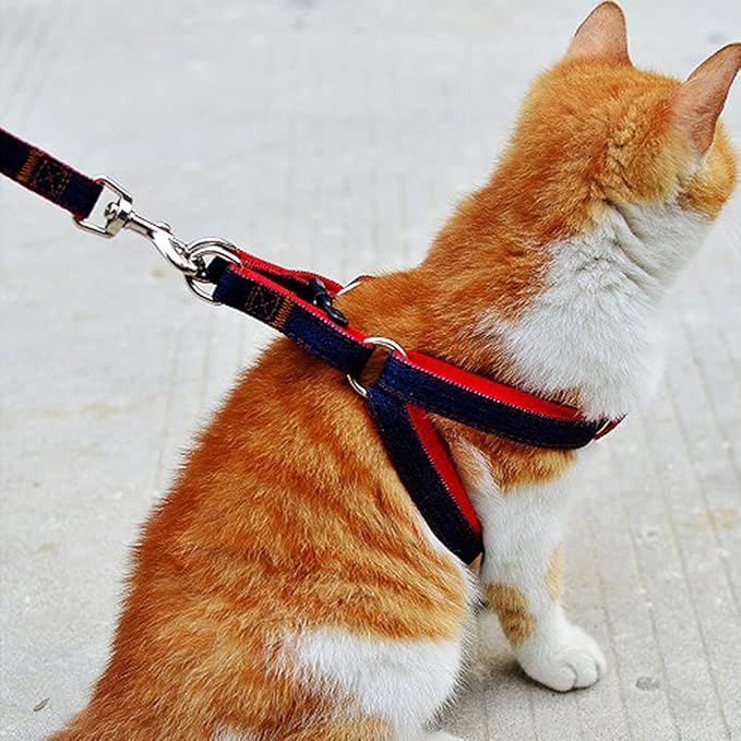 3 Pack Adjustable Cat Harness with Leash Collar Set，Escape Proof Kitten Walking Jacket，Soft Breathable Pet Vest for Kitten Kitty Cat Puppy Small Dog