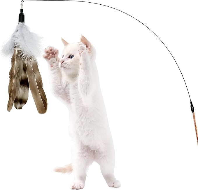Cat Feather Toys Refills Da Bird Feathers Refills, 8 Pieces Cat Wand Replacement Feathers for Cat Toy, Brown 8PCS