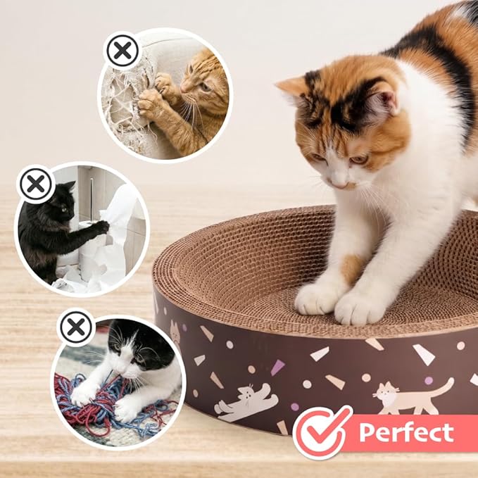 BLUE BAY Cat Scratcher Lounge Bed — 2-in-1 Cardboard Scratch Bowl & Cozy Cat Bed for Indoor Cats, High-Density Corrugated Scratcher, Non-Toxic Recyclable Furniture Protector, All Breeds