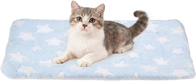 Dog Cat Bed Mat, Soft Coral Fleece Pet Cushion Pad with Cute Stars Print, Warm Washable Pet Bed 21x14 Inches, (Blue), Intended for Medium Small Dog Cat